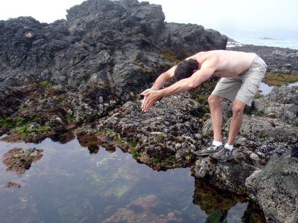 My next dive is a .....